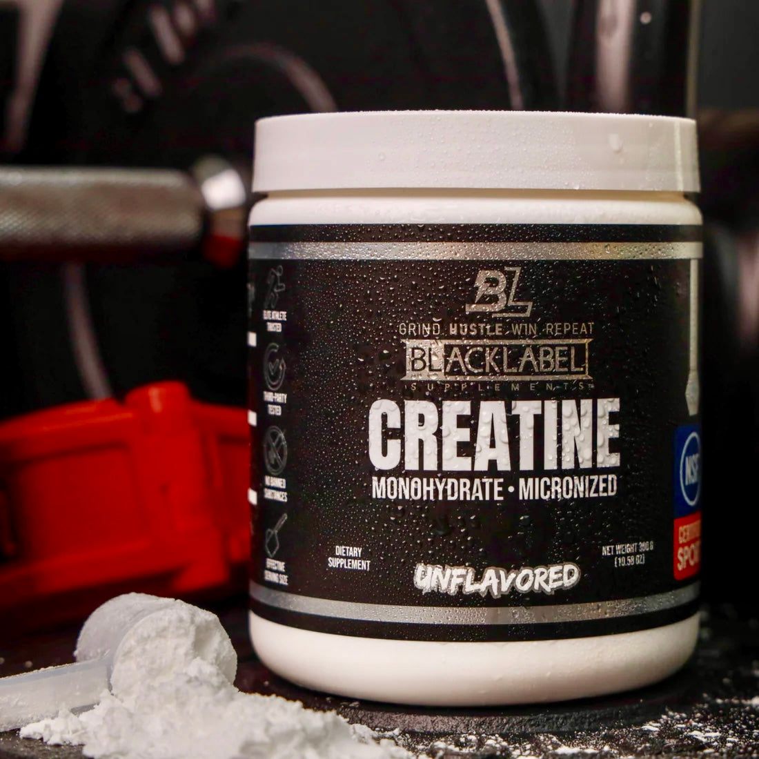 Creatine Monohydrate Powder – Unflavored | Strength & Power